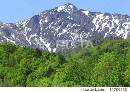 Hokkaido Furano City Fresh green forest and Ashibetsake Hokkaido Furano City Fresh green forest and Ashibetsake 15769568