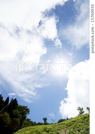 宜人的晴朗天氣 15769938