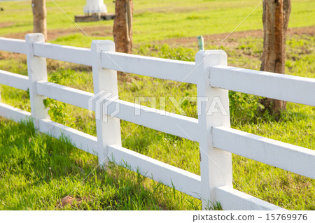 White picket fence 15769976
