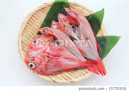 開放的木瓜 15770358