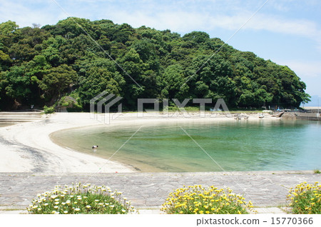 初夏熱水兒 15770366