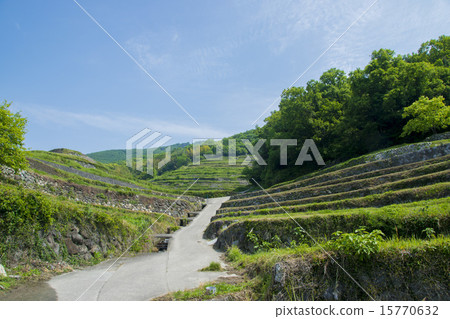 Nakayama Senjita 15770632