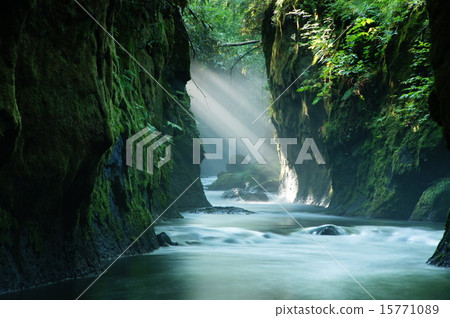 Tarumae Gallo Tarumae Gallo 15771089