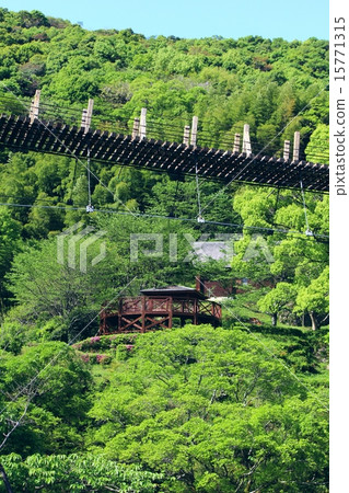 Rikugin橋 15771315