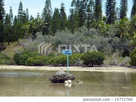 Beach Resort 15772760