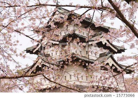 弘前城堡 15773066