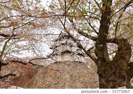 弘前城堡 15773067