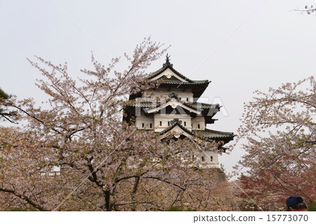 弘前城堡 15773070