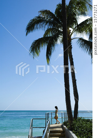 Palms and seas and girls Palms and seas and girls 15773271