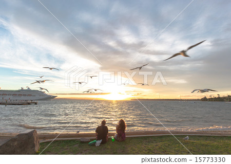 Sunset evenings glow in New Zealand 15773330