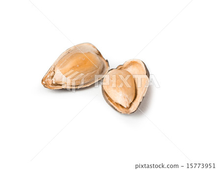 open sunflower seed open sunflower seed 15773951