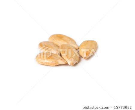 fresh sunflower seeds fresh sunflower seeds 15773952
