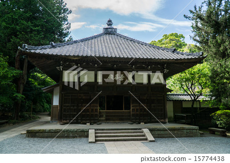 鎌倉市五山 15774438