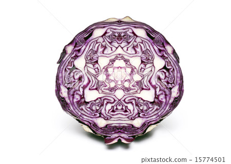 red cabbage 15774501