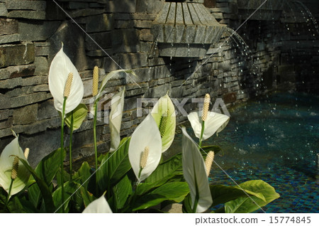 Waterside spatialism Waterside spatialism 15774845