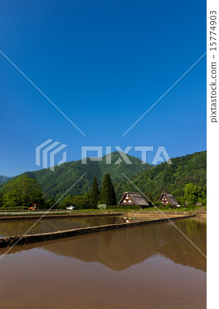 水稻種植前的世界遺產白川鄉 15774903