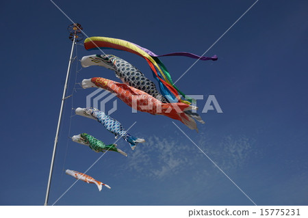 鯉魚旗 鯉魚旗 15775231