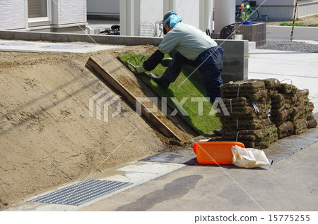 The work of gardeners planting lawn 15775255
