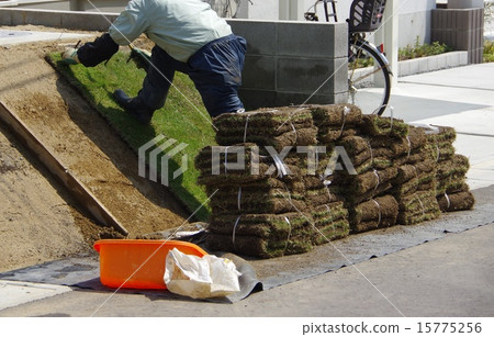 園丁種植草坪的工作 園丁種植草坪的工作 15775256