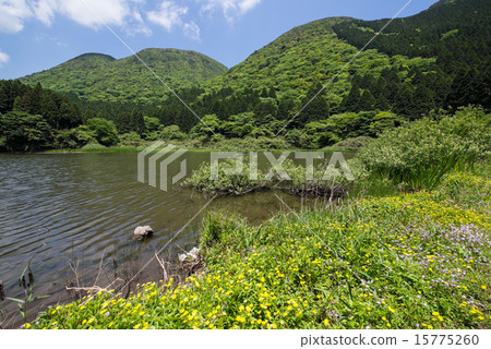初夏的Tamadokei 初夏的Tamadokei 15775260