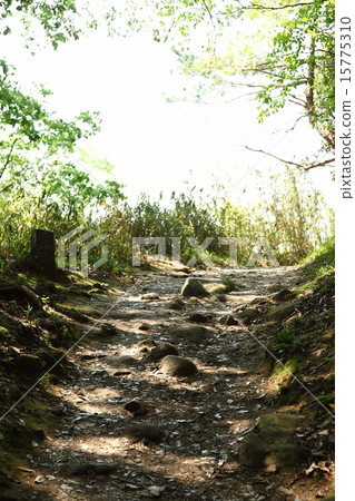 Yamanobe小道 15775310