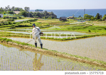 Sadayoshi Tanada Sadayoshi Tanada 15775719