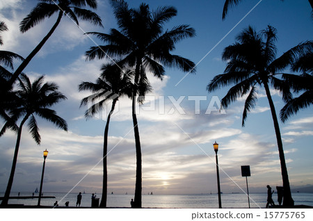 夏威夷夏威夷夏威夷海洋 夏威夷夏威夷夏威夷海洋 15775765