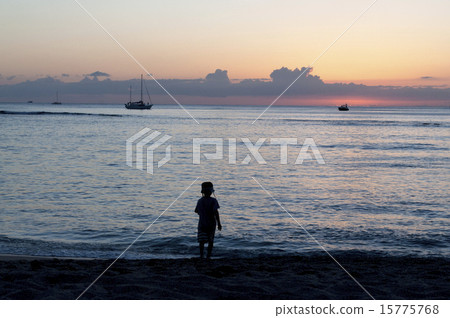 Hawaii Hawaii HAWAII Ocean 15775768