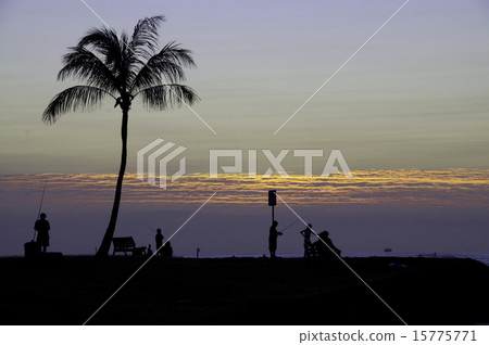 夏威夷夏威夷夏威夷海洋 15775771