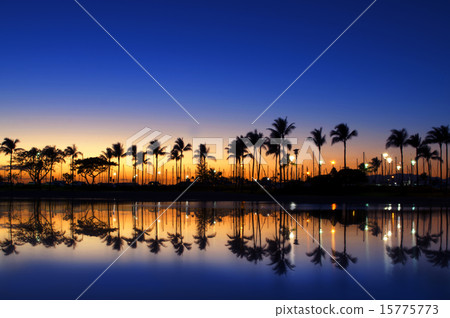 夏威夷夏威夷夏威夷海洋 15775773