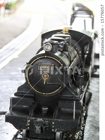 迷你蒸汽機車 迷你蒸汽機車 15776057