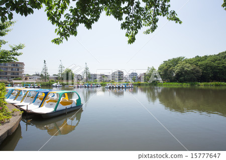 Shakujii公園 15777647