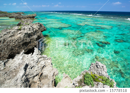 The sea of Okinawa 15778518