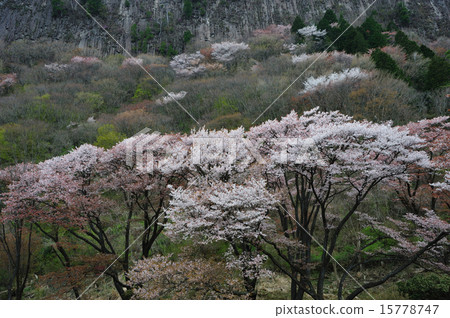 折疊的岩石 15778747