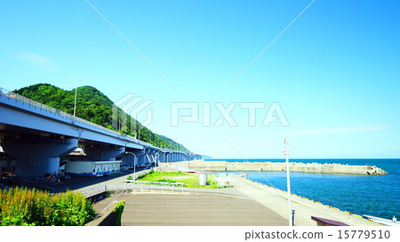 Sea of Japan: parents ignorance 15779510