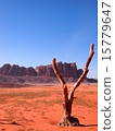 A withered tree standing in the desert against a vast blue sky (minimalist, background material, copy space) 15779647