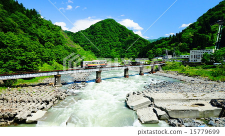 Ozo line: Kotakiri 15779699