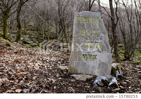 Stone of the poets in Busmayor beech. Stone of the poets in Busmayor beech. 15780253