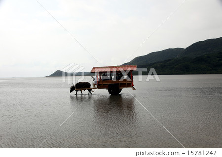 Yuujima _水牛車 Yuujima _水牛車 15781242