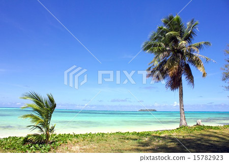 Beautiful beach of Tropical Saipan Beautiful beach of Tropical Saipan 15782923