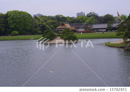 初夏的岡山後樂園 15782951