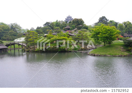 初夏的岡山後樂園 15782952
