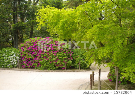 Okayama Korakuen in early summer 15782964