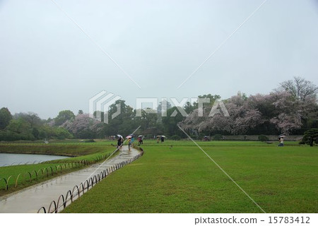 岡山後樂園在春雨中 岡山後樂園在春雨中 15783412