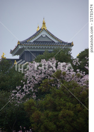 岡山城堡在春雨中 15783474