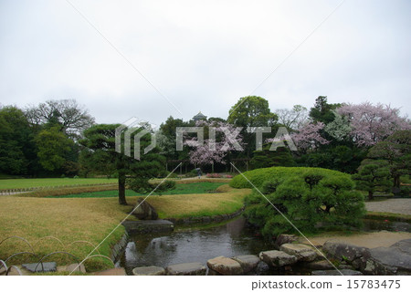 Okayama Korakuen in the spring rain 15783475