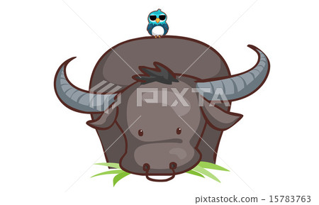buffalo eating grass and bird vector 15783763