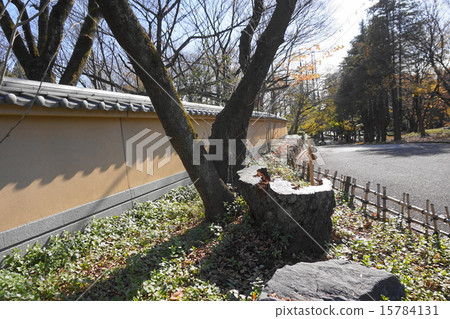 與牆壁的風景 與牆壁的風景 15784131