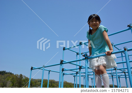 Jungle gym 15784271