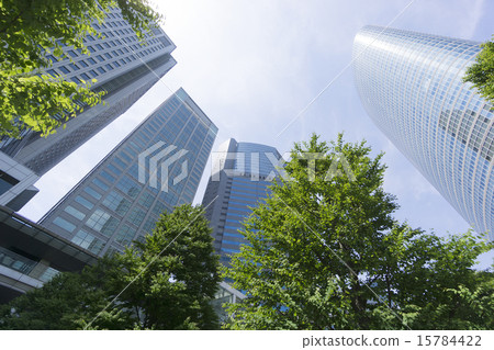 High-rise building group and fresh green 15784422